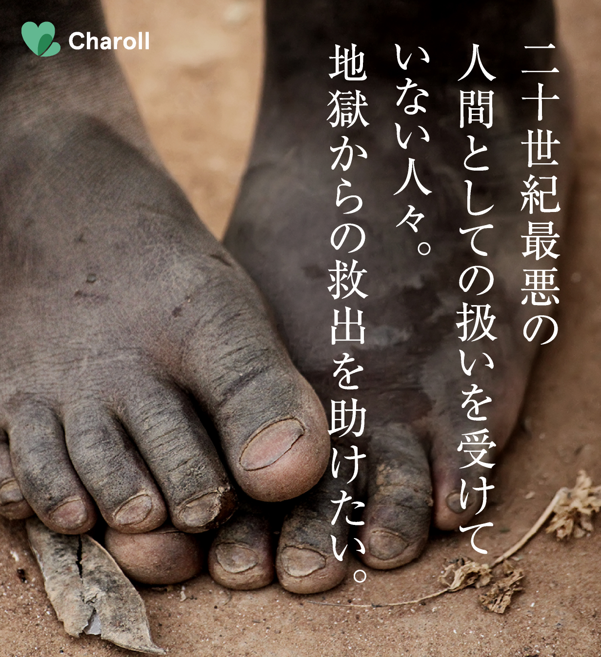 Charoll運営支援
